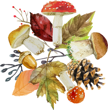 Dywan winylowy natura liście i owoce lasu - TenStickers