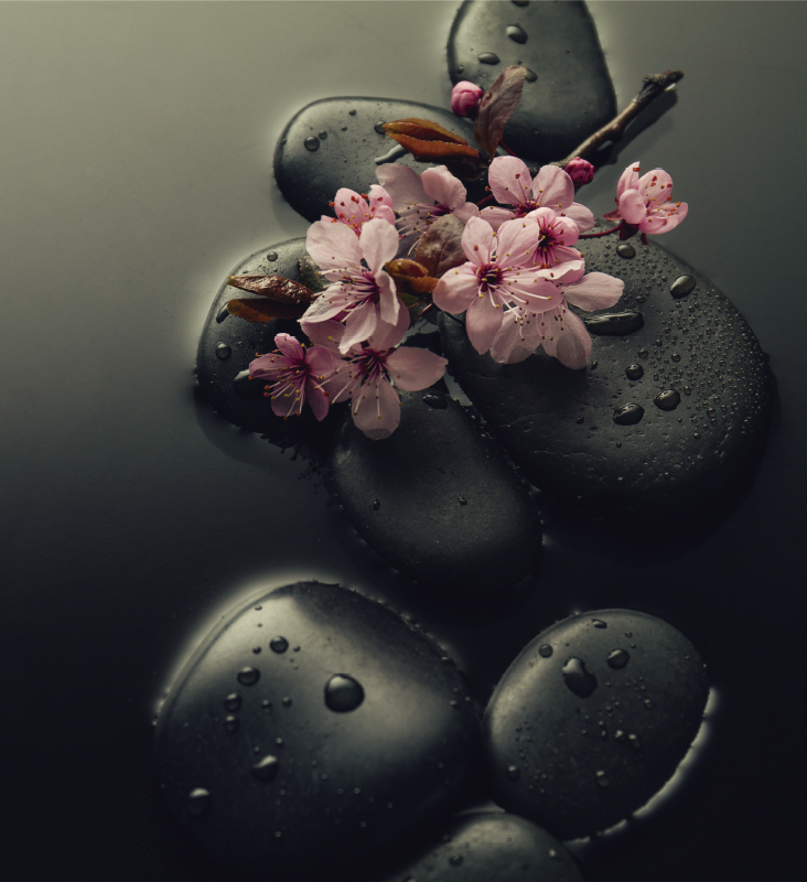 Dywan winylowy natura w stylu zen z kamieniem do toalety - TenStickers