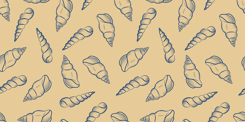 Dywan winylowy natura z muszelkami - TenStickers