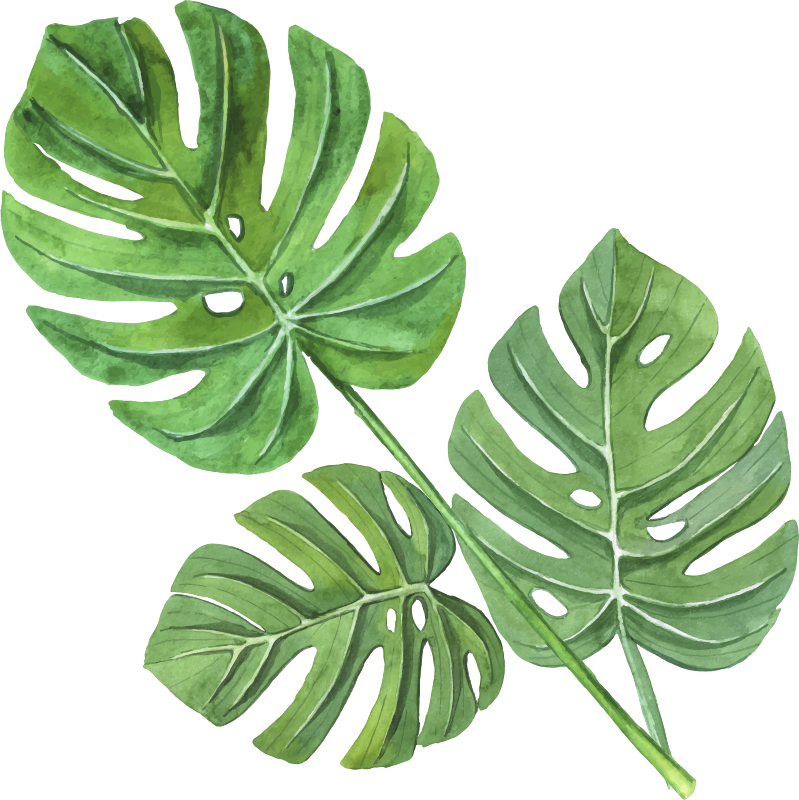 Dywan winylowy w kwiaty i rośliny liście monstera akwarela - TenStickers