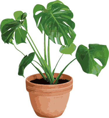 Dywan winylowy w kwiaty i rośliny doniczka monstera - TenStickers