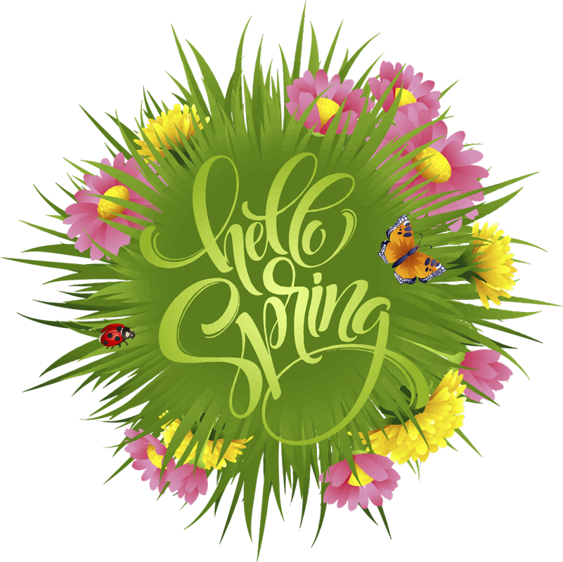 Dywan winylowy w kwiaty i rośliny kwiaty łąkowe - TenStickers