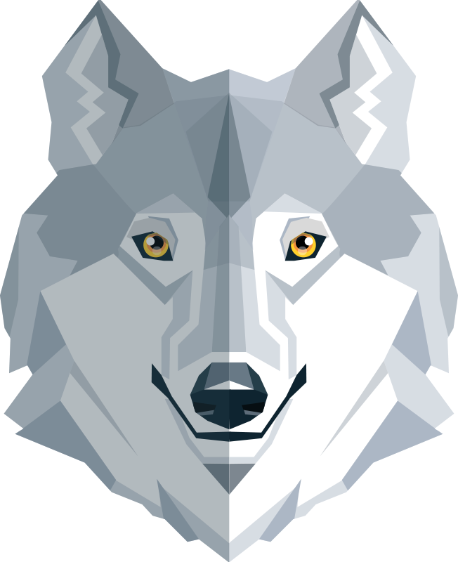 Dywan winylowy do salonu w abstrakcyjnym wzorze wilka - TenStickers