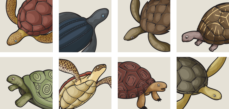 Dywan winylowy do łazienki w różne żółwie - TenStickers