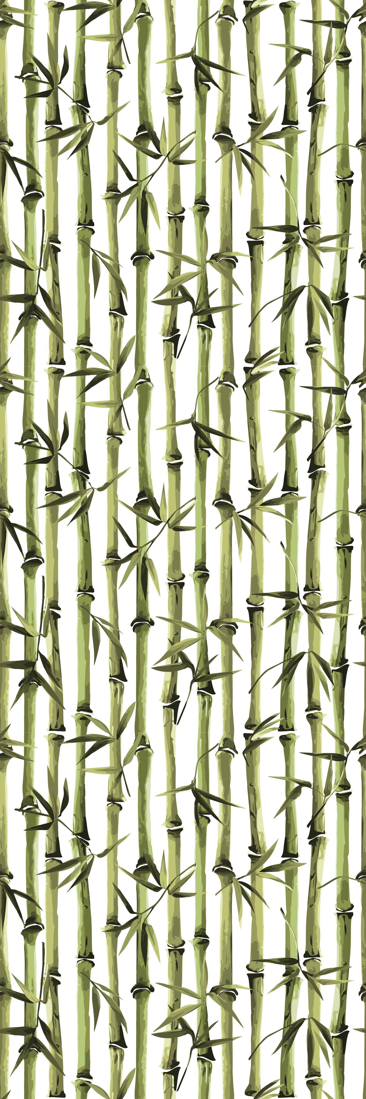 Dywan winylowy natura wzór gałązek bambusa - TenStickers