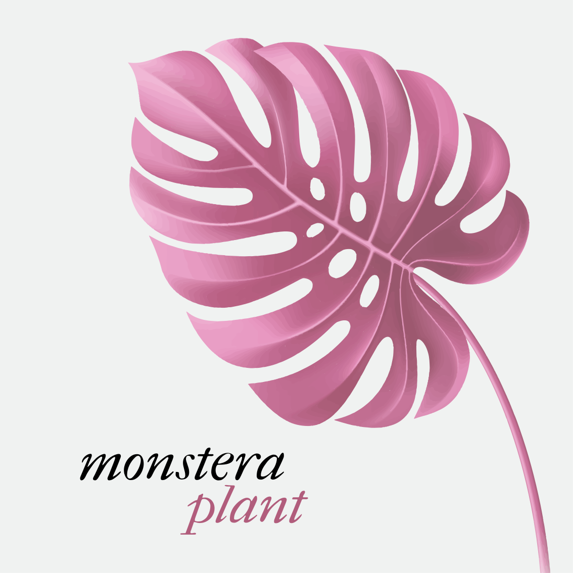 Dywan winylowy napisy różowa minimalistyczna monstera - TenStickers
