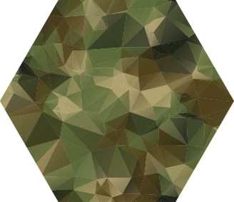 Dywan winylowy Geometryczne moro - TenStickers