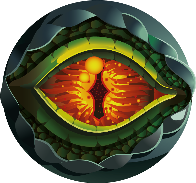 Dywan winylowy natura abstrakcyjne oko natury - TenStickers