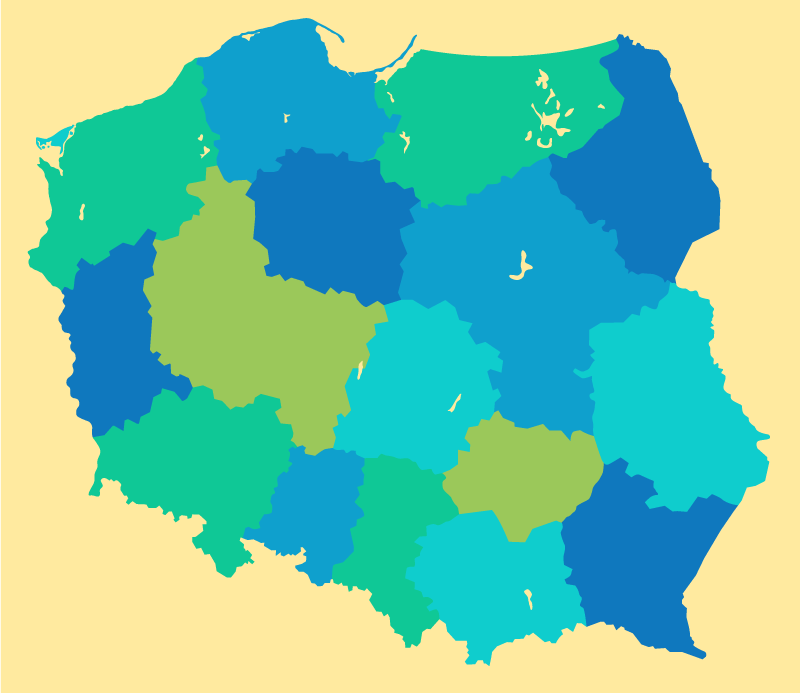 Dywan winylowy Mapa Polski z województwami - TenStickers