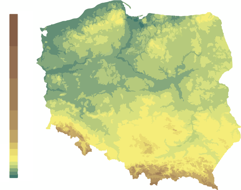 Dywan winylowy Hipsometryczna mapa Polski - TenStickers