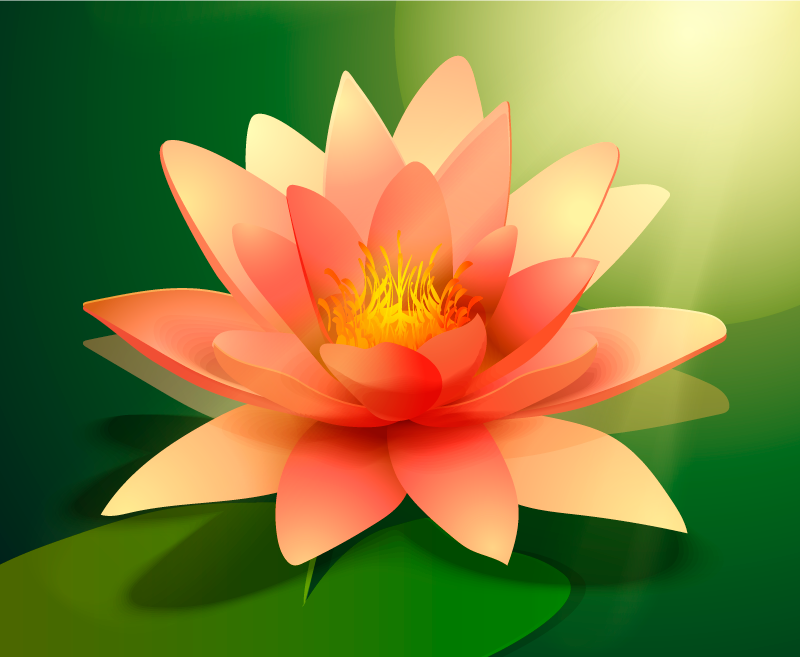 Dywan winylowy w kwiaty i rośliny kwitnący lotos - TenStickers