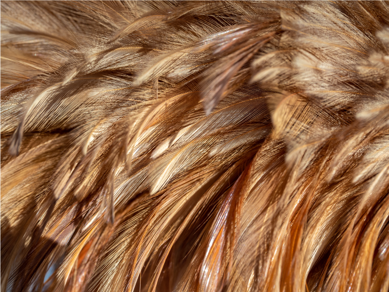 Dywan winylowy wzór zwierzęcy wirujące futro - TenStickers