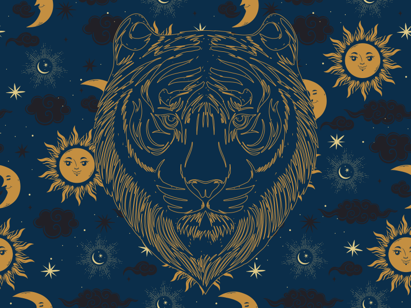 Dywan winylowy wzór zwierzęcy tygrys i słońca - TenStickers