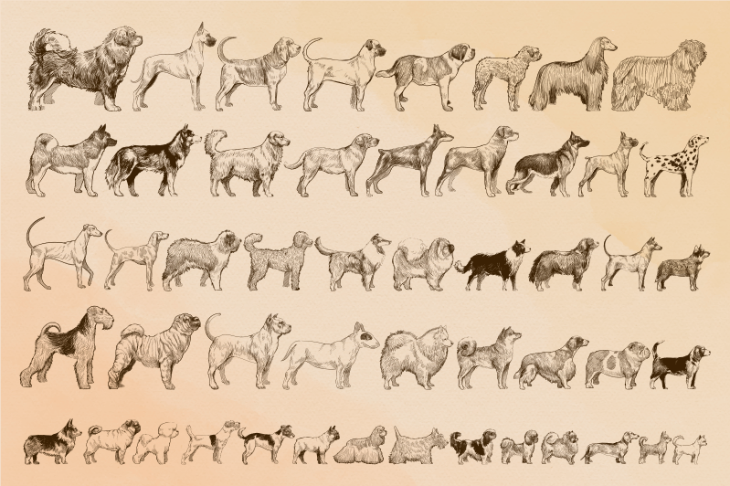 Dywan winylowy zwierzęta beżowe ilustracje psów - TenStickers