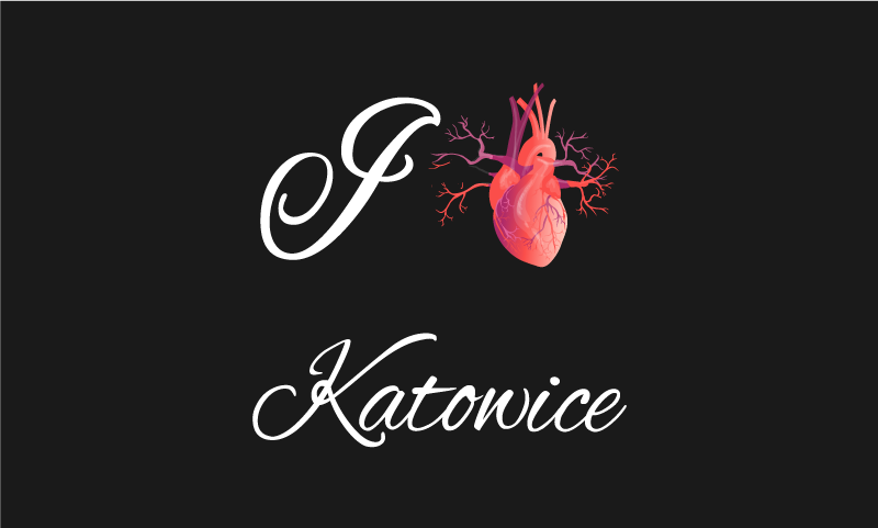 Dywan winylowy i love katowice - TenStickers