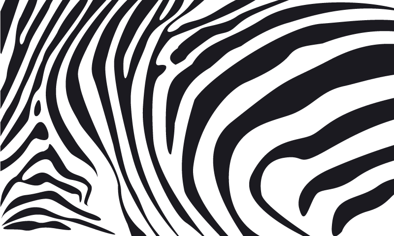 Dywan winylowy wzór zwierzęcy linia zebry - TenStickers