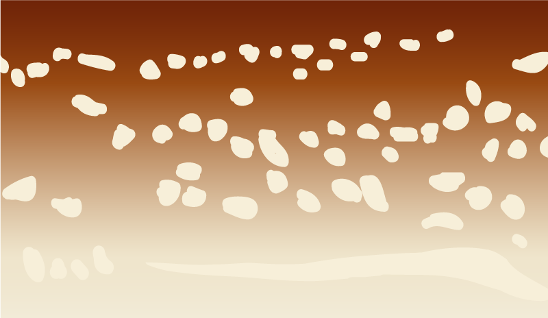 Dywan winylowy kamienie brązowa ścieżka - TenStickers