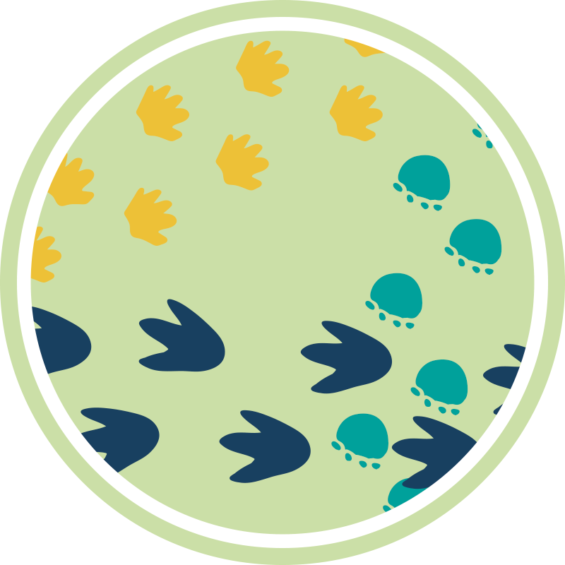 Dziecięcy dywan winylowy projekt śladów dinozaurów - TenStickers