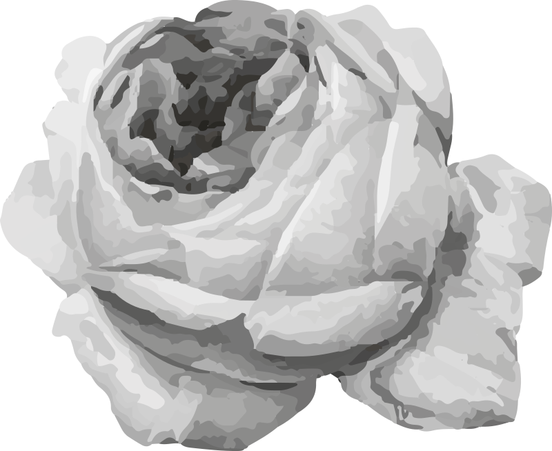 Dywan winylowy w kwiaty i rośliny kwiat róży - TenStickers