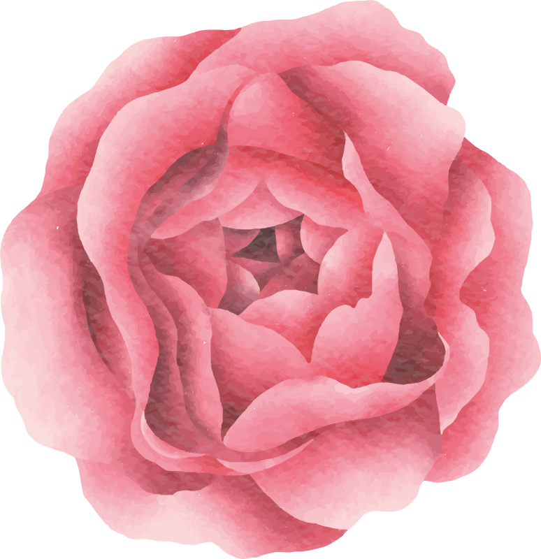 Dywan winylowy z różową różą - TenStickers