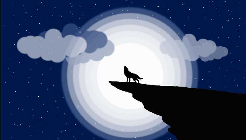 Dywan winylowy dla nastolatków wycie półksiężyca - TenStickers