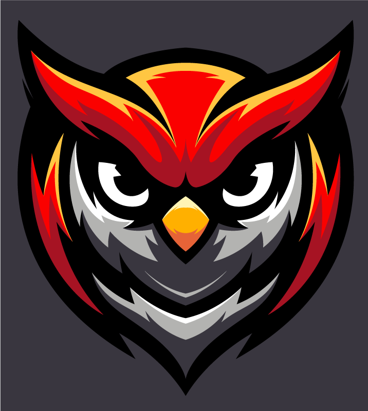 Dywan winylowy dla nastolatków graficzna sowa bold - TenStickers