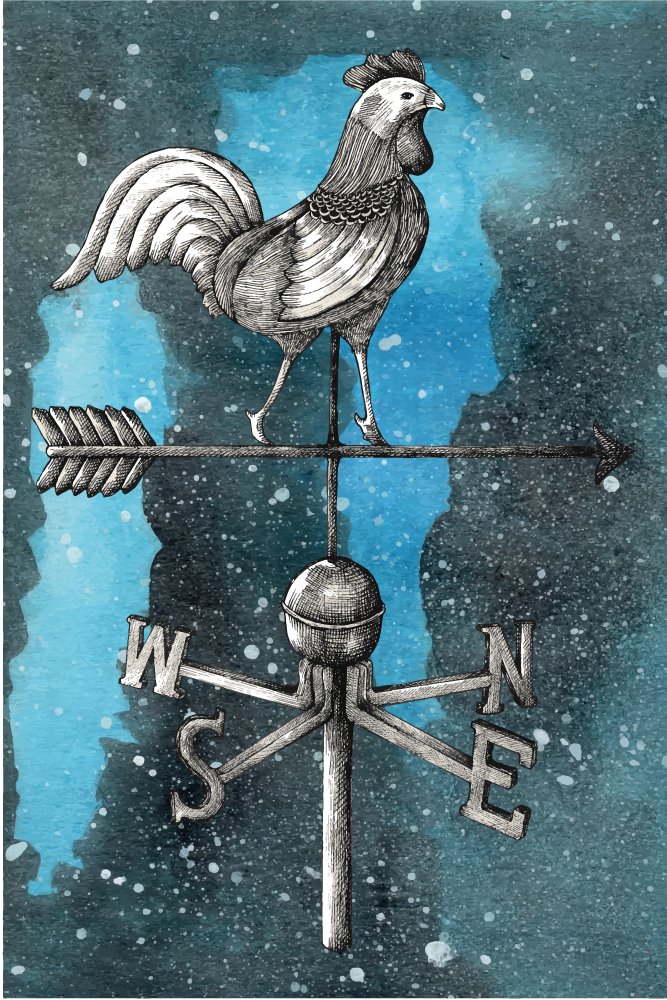 Dywan winylowy dla nastolatków kogut z chorągiewką - TenStickers