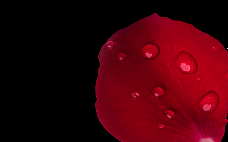 Dywan winylowy do salonu czerwony płatek glamour - TenStickers