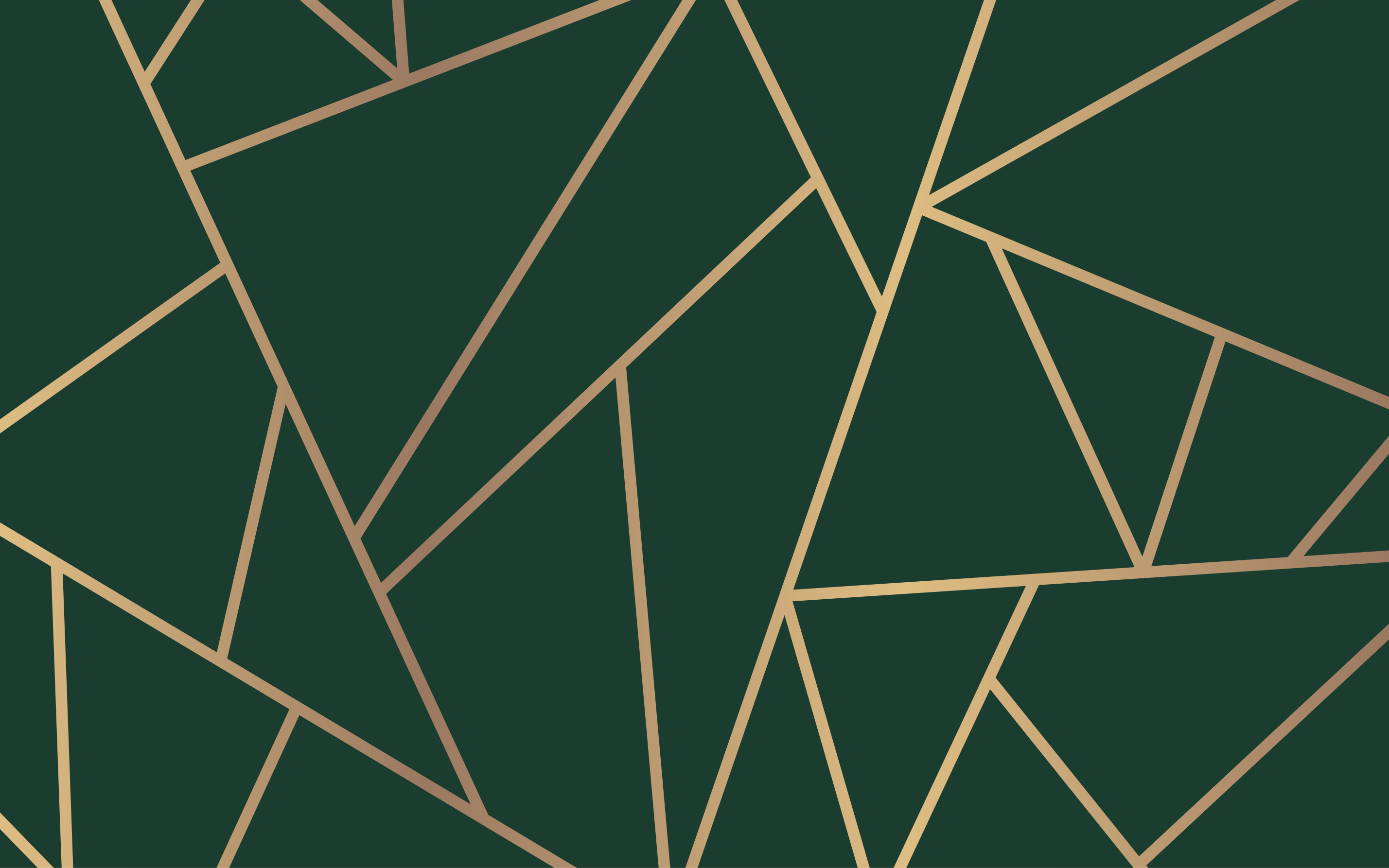 Dywan winylowy na balkon Złote linie butelki zielone tło - TenStickers