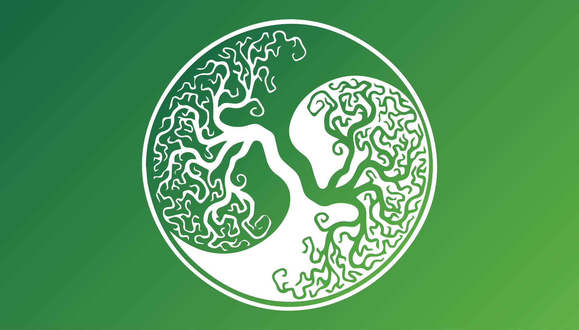 Dywan winylowy natura krąg sylwetki drzewa - TenStickers