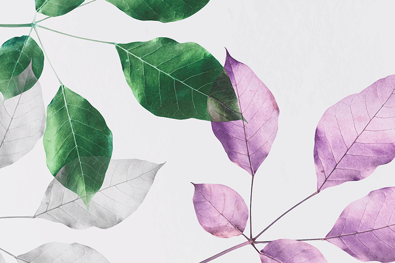 Dywan winylowy w kwiaty i rośliny z liściastym wzorem - TenStickers