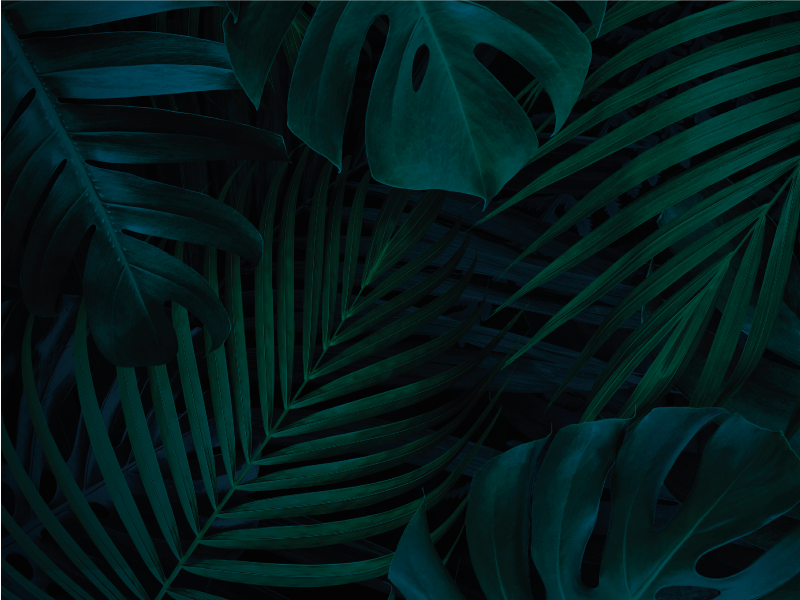 Dywan winylowy w kwiaty i rośliny tropikalne liście - TenStickers