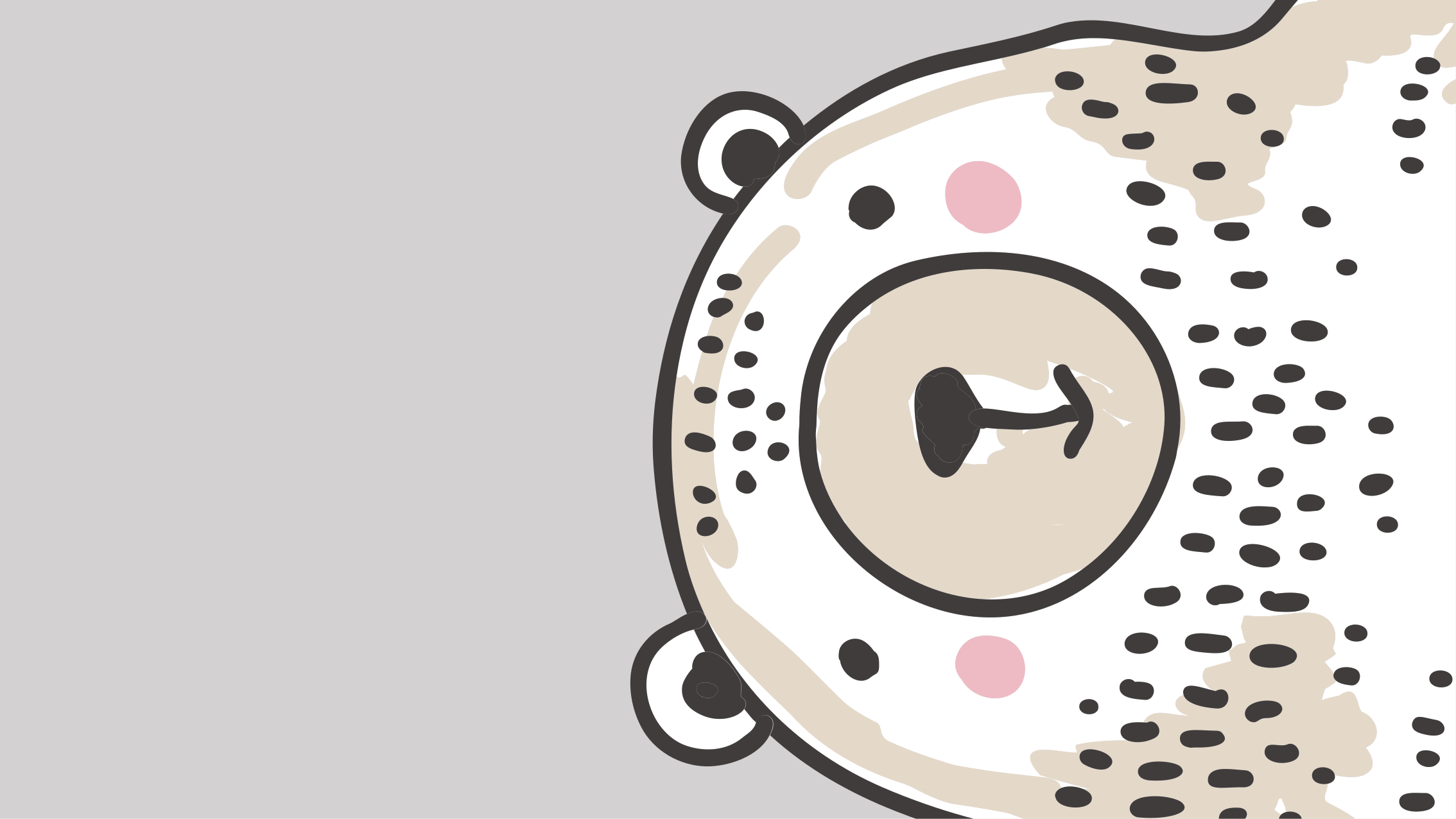 Dywan winylowy dla dzieci kształt twarzy niedźwiedzia - TenStickers