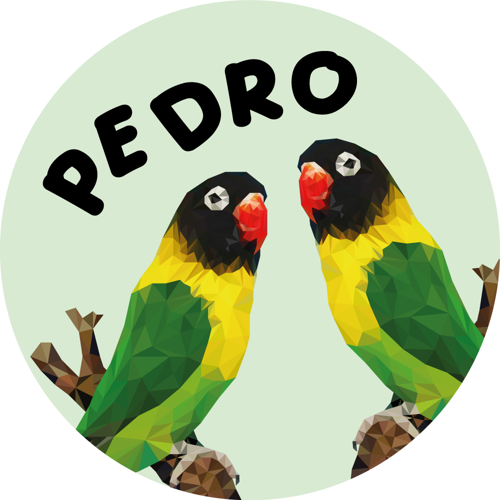 Dywan winylowy z imieniem konfigurowalne gołąbki - TenStickers