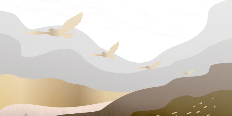 Dywan winylowy zwierzęta kojąca sceneria sylwetki ptaków - TenStickers