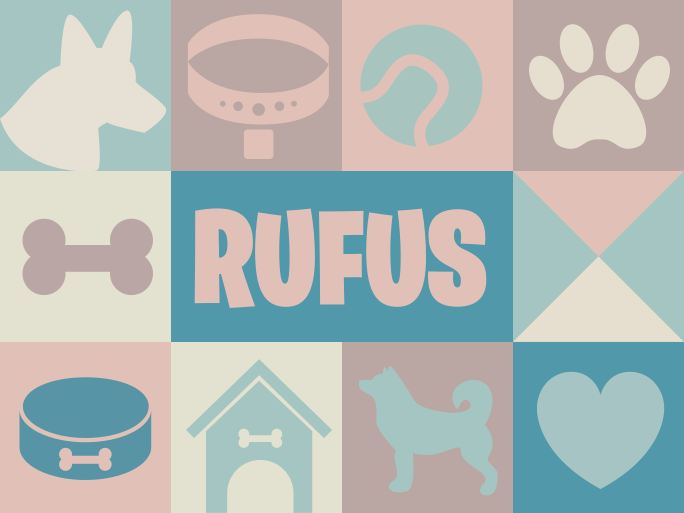 Dywan winylowy zwierzęta Psy spersonalizowane - TenStickers