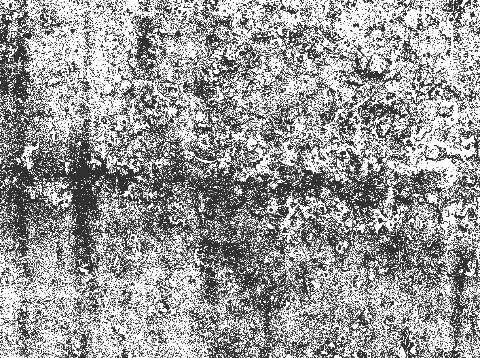 Dywan winylowy do jadalni wyblakły szary - TenStickers