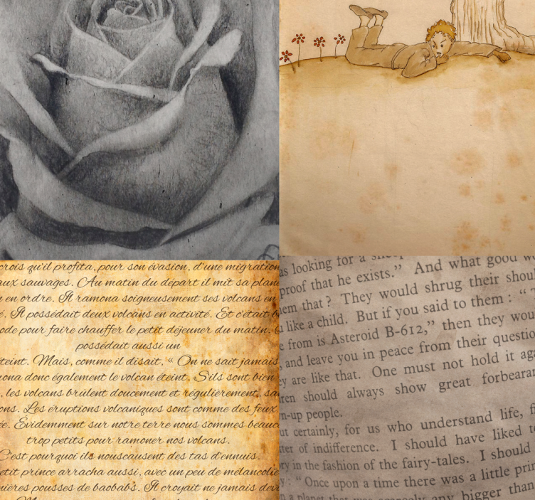 Tapeta mały książę - listy miłosne - TenStickers