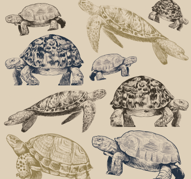 Tapeta zwierzęta kolekcja żółwi - TenStickers