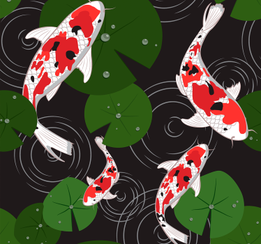 Tapeta orientalne karpie - TenStickers