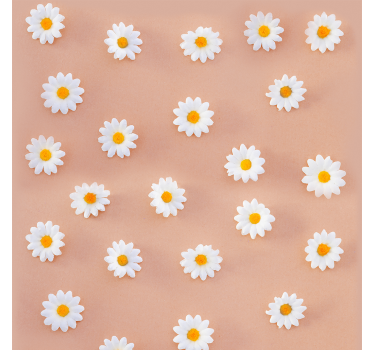 Tapeta kwiaty kwitnie stokrotka - TenStickers