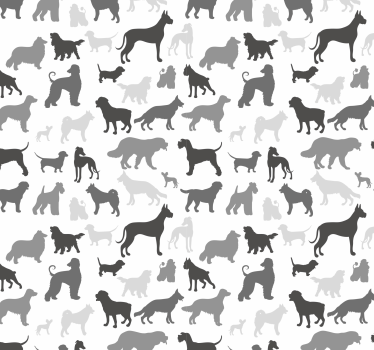 Tapeta zwierzęta kły sylwetki - TenStickers